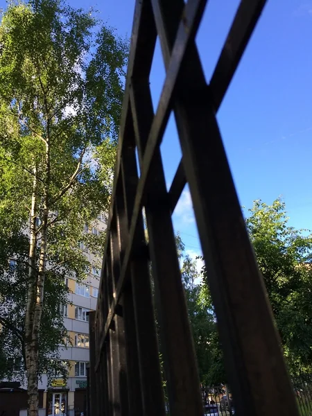 Металлические заборы и ворота — ракурс 6